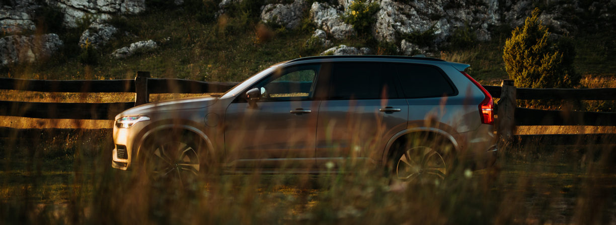 Volvo XC90 wśród łąk